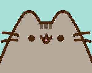 pusheen cat